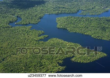 Flooded tropical rain forest, aerial view, Amazonas, Brazil View Large Photo Image Stock Photo - Flooded tropical rain forest, aerial view, Amazonas, Brazil. Fotosearch