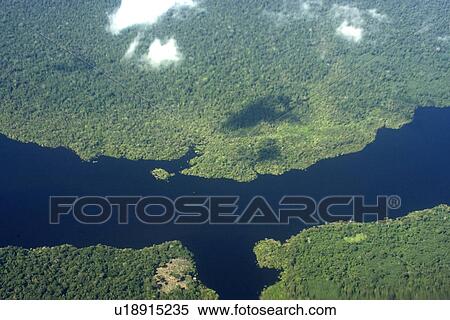 Stock Photography - Flooded tropical rain forest, aerial view, Amazonas, Brazil. Fotosearch