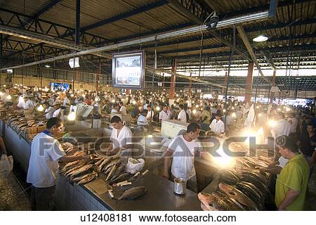 Freshwater fish including black tambaqui, Colossoma macropomum, for sale at municipal fish market, Manaus, Amazonas, Brazil View Large Photo Image Stock Image - Freshwater fish including black tambaqui, Colossoma macropomum, for sale at municipal fish market, Manaus, Amazonas, Brazil. Fotosearch