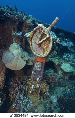 Gear shift lever on bow, Fujikawa Maru shipwreck,, Truk lagoon, Chuuk, Federated States of Micronesia, Pacific View Large Photo Image Picture - Gear shift lever on bow, Fujikawa Maru shipwreck,, Truk lagoon, Chuuk, Federated States of Micronesia, Pacific. Fotosearch