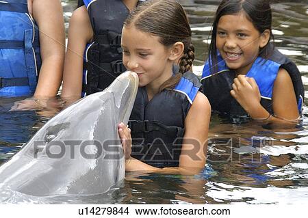 Girl kissing a bottlenose dolphin, Tursiops truncatus, Oahu, Hawaii (N. Pacific) View Large Photo Image Picture - Girl kissing a bottlenose dolphin, Tursiops truncatus, Oahu, Hawaii (N. Pacific). Fotosearch