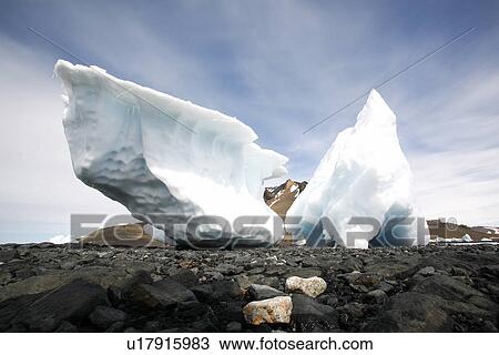Grounded iceberg detail in and around the Antarctic Peninsula during the summer months. More icebergs are being created as global warming is causing the break up of major ice sheets. View Large Photo Image Stock Image - Grounded iceberg detail in and around the Antarctic Peninsula during the summer months. More icebergs are being created as global warming is causing the break up of major ice sheets.. Fotosearch