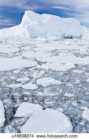 Iceberg detail in and around the Antarctic Peninsula during the summer months. More icebergs are being created as global warming is causing the breakup of major ice shelves and glaciers. View Large Photo Image Picture - Iceberg detail in and around the Antarctic Peninsula during the summer months. More icebergs are being created as global warming is causing the breakup of major ice shelves and glaciers.. Fotosearch