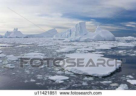Iceberg detail in and around the Antarctic Peninsula during the summer months. More icebergs are being created as global warming is causing the breakup of major ice shelves and glaciers. View Large Photo Image Stock Image - Iceberg detail in and around the Antarctic Peninsula during the summer months. More icebergs are being created as global warming is causing the breakup of major ice shelves and glaciers.. Fotosearch