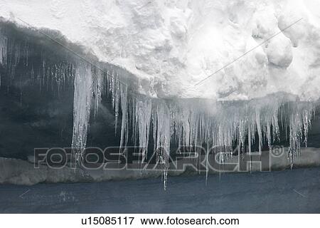 Stock Photo - Icebergs and bergy bits melting (note the icicles) in and around the Antarctic Peninsula during the summer months.. Fotosearch