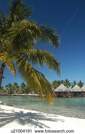 Stock Image - Intercontinental Tahiti Hotel beach apartments, Tahiti, French Polynesia, southern Pacific Ocean. Fotosearch