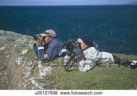 Stock Photo - Land-based cetacean survey. Cetacean survey work by personnel of the Hebridean Whale and Dolphin Trust. Caliach Point, Isle of Mull, Scotland. Fotosearch