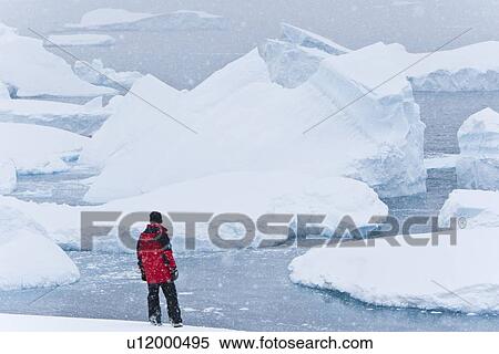 Lindblad Expeditions guest in snowstorm viewing icebergs on Petermann Island in Antarctica as part of expedition travel. NO MODEL RELEASES FOR THIS IMAGE. View Large Photo Image Stock Photography - Lindblad Expeditions guest in snowstorm viewing icebergs on Petermann Island in Antarctica as part of expedition travel. NO MODEL RELEASES FOR THIS IMAGE.. Fotosearch