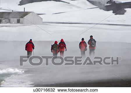 Stock Image - Lindblad guests walking along the beach in Whalers Bay in Port Foster inside the caldera of Deception Island, south Shetland Islands, Antarctica. This Norwegian whaling station was began in 1904 and abandoned in 1931.. Fotosearch
