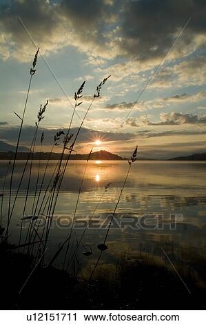 Loch Awe sunrise with long grass in foreground. Argyll, Scotland View Large Photo Image Stock Image - Loch Awe sunrise with long grass in foreground. Argyll, Scotland. Fotosearch