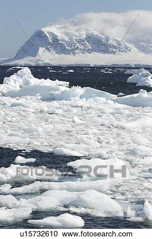 Mist covers the glacier and icebergs and bergy bits in the bay in Neumayer Channel, Antarctica. View Large Photo Image Stock Image - Mist covers the glacier and icebergs and bergy bits in the bay in Neumayer Channel, Antarctica.. Fotosearch