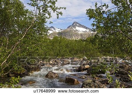 Stock Photo - Mountain stream cutting through the tundra just north of Tromso, Norway.. Fotosearch