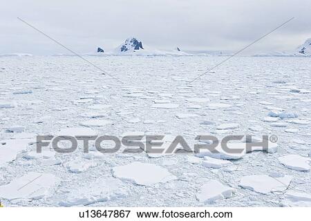 Multi-year ice floes and brash ice near the Antarctic Peninsula. View Large Photo Image Stock Photo - Multi-year ice floes and brash ice near the Antarctic Peninsula.. Fotosearch