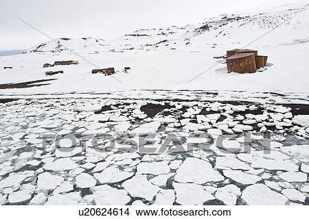 Picture - On approach in pack ice to Whalers Bay in Port Foster inside the caldera of Deception Island, south Shetland Islands, Antarctica. This Norwegian whaling station was began in 1904 and abandoned in 1931.. Fotosearch