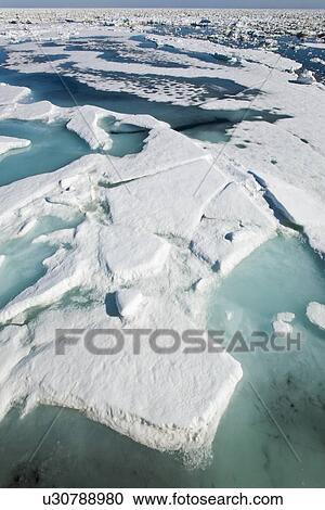 Open leads surrounded by multi-year ice floes in the Barents Sea between EdgeÏya (Edge Island) and Kong Karls Land in the Svalbard Archipelago, Norway. View Large Photo Image Stock Image - Open leads surrounded by multi-year ice floes in the Barents Sea between EdgeÏya (Edge Island) and Kong Karls Land in the Svalbard Archipelago, Norway.. Fotosearch