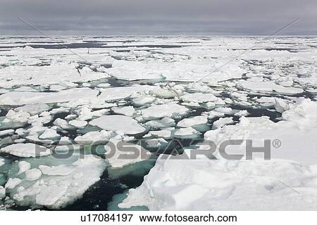 Open leads surrounded by multi-year ice floes in the Barents Sea between EdgeÏya (Edge Island) and Kong Karls Land in the Svalbard Archipelago, Norway. View Large Photo Image Stock Photo - Open leads surrounded by multi-year ice floes in the Barents Sea between EdgeÏya (Edge Island) and Kong Karls Land in the Svalbard Archipelago, Norway.. Fotosearch