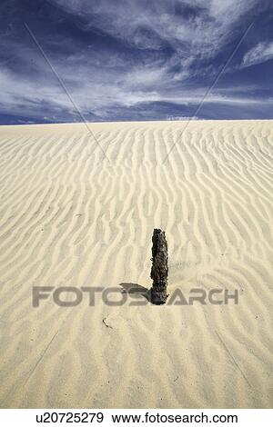 Stock Photo - Patterns in the sand dunes of Islam Magdalena on the Pacific side of the Baja Peninsula, Mexico.. Fotosearch
