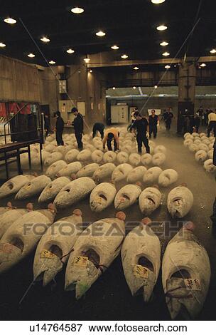 Stock Photo - People at Tuna auction at world's largest fish market, Tsukiji Fish market, Tokyo, Japan. Fotosearch