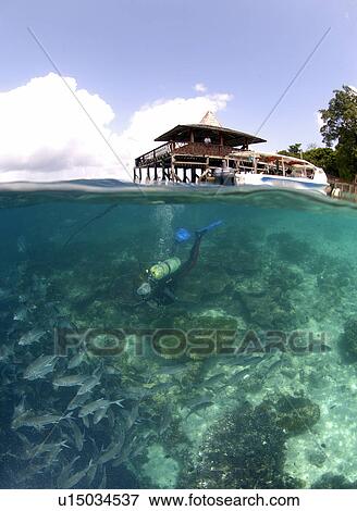 Reef/jetty over/underwater. Malaysia View Large Photo Image Stock Photo - Reef/jetty over/underwater. Malaysia. Fotosearch