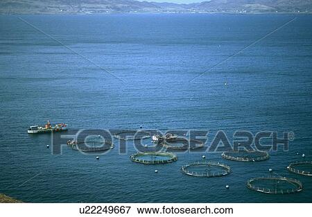 Stock Photo - Salmon fish farm. Hebrides, Scotland. Fotosearch
