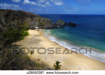 Sanchos beach, Fernando de Noronha national marine sanctuary, Pernambuco, Brazil (S. Atlantic) View Large Photo Image Stock Photo - Sanchos beach, Fernando de Noronha national marine sanctuary, Pernambuco, Brazil (S. Atlantic). Fotosearch