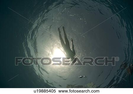 Silhouette of a swimmer. Red Sea, Egypt. View Large Photo Image Stock Photography - Silhouette of a swimmer. Red Sea, Egypt.. Fotosearch