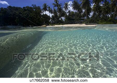 Stock Photo - Split image of log, sandy bottom, and island, Truk lagoon, Chuuk, Federated States of Micronesia, Pacific. Fotosearch