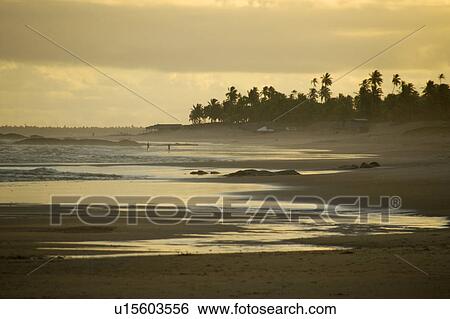 Sunset at the beach, Costa do Sauipe, Bahia, Brazil (South Atlantic) View Large Photo Image Stock Photograph - Sunset at the beach, Costa do Sauipe, Bahia, Brazil (South Atlantic) . Fotosearch