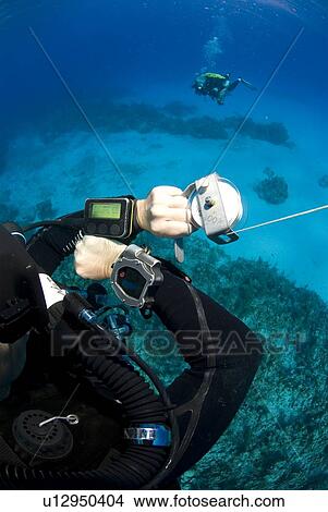 Picture - Technical Divers using Trimix, Rebreathers and technical diving equipment, Divetech, Grand Cayman, Cayman Islands, Caribbean. Fotosearch