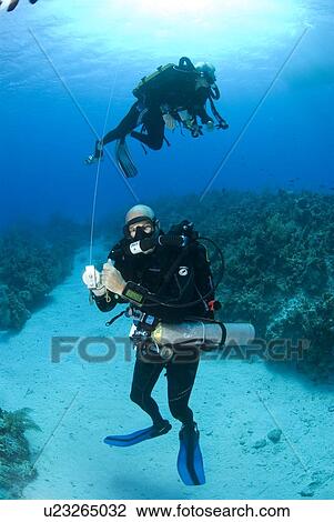 Technical Divers using Trimix, Rebreathers and technical diving equipment, Divetech, Grand Cayman, Cayman Islands, Caribbean View Large Photo Image Stock Image - Technical Divers using Trimix, Rebreathers and technical diving equipment, Divetech, Grand Cayman, Cayman Islands, Caribbean. Fotosearch