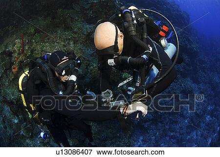 Stock Photo - Technical Divers using Trimix, Rebreathers and technical diving equipment, Divetech, Grand Cayman, Cayman Islands, Caribbean. Fotosearch