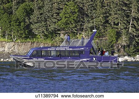 Picture - The commercial whale watching vessel Orca Odyssey, based in Juneau, Southeast Alaska, USA. In the summer of 2006 this vessel struck a humpback whale while on a commercial whale watch. Juneau, Southeast Alaska, USA. Fotosearch