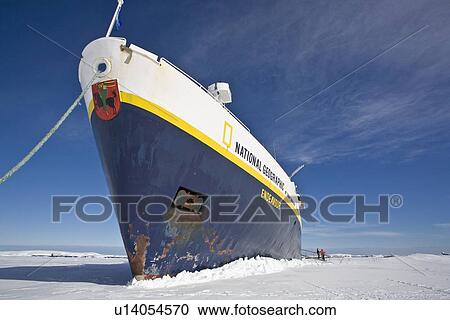Stock Image - The Lindblad expedition ship National Geographic Endeavour stuck hard and fast in shore fast ice in Port Foster, Deception Island, Antarctica.. Fotosearch