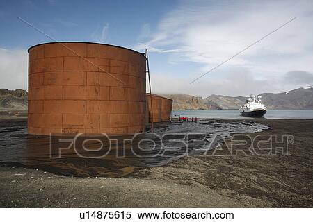 The National Geographic Endeavour anchored at the old Norwegian whaling station at Whaler's Cove, Deception Island. The station ran from 1904 through 1931. Shown here are the huge steel storage tanks used to store whale oil once it was rendered from proce View Large Photo Image Stock Photography - The National Geographic Endeavour anchored at the old Norwegian whaling station at Whaler's Cove, Deception Island. The station ran from 1904 through 1931. Shown here are the huge steel storage tanks used to store whale oil once it was rendered from proce. Fotosearch