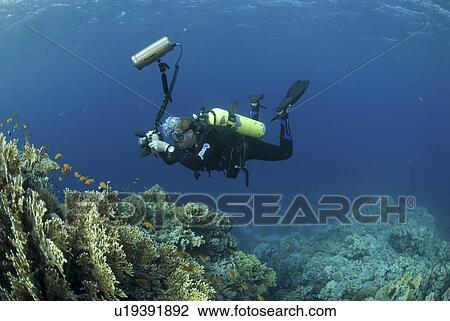 Stock Image - Underwater Photographer on Red Sea coral reef, Red Sea, Egypt. Fotosearch