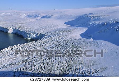 View of a land-based glacier calving into the sea. Hannah Point, Livingston Island, Antarctic Peninsula, Antarctica. View Large Photo Image Stock Photo - View of a land-based glacier calving into the sea. Hannah Point, Livingston Island, Antarctic Peninsula, Antarctica.. Fotosearch