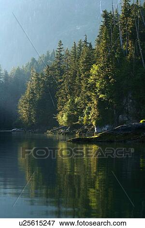 Stock Photo - View of the shoreline in sunlight at Takatz Bay on Baranof Island, Southeast Alaska, USA. Pacific Ocean.. Fotosearch
