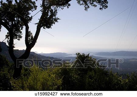 Stock Photo - View towards Porto-Vecchio and the sea. Corsica, France. Fotosearch