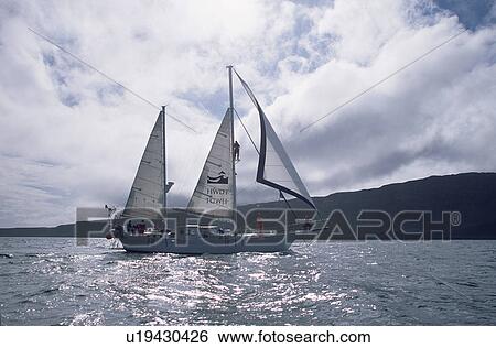 Stock Photograph - Whale biologists working from research yacht, Silurian, in the Hebrides, Scotland.. Fotosearch