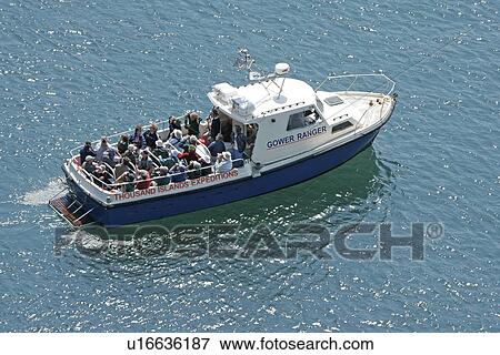 Stock Photo - Wildlife adventure boat trip. Ramsey Island, Pembrokeshire, Wales, UK. Fotosearch