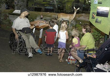 Man with a disability, utilizing a wheelchair for mobility, talking to a group of children at a museum exhibit. View Large Photo Image Stock Photograph - Man with a disability, utilizing a wheelchair for mobility, talking to a group of children at a museum exhibit.. Fotosearch