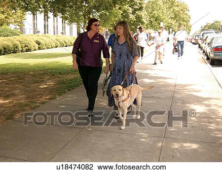 Two female friends walking down the sidewalk. One is visually impaired and uses a guide dog for assistance. The other woman has no disability and is her friend. View Large Photo Image Stock Image - Two female friends walking down the sidewalk. One is visually impaired and uses a guide dog for assistance. The other woman has no disability and is her friend.. Fotosearch