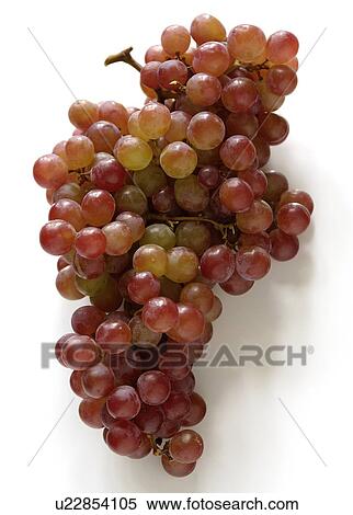 Stock Photography - A bunch of grapes. Fotosearch