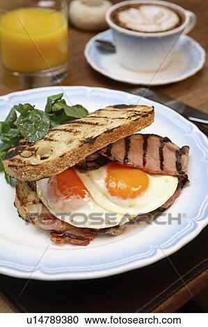 Egg and bacon sandwich View Large Photo Image Stock Image - Egg and bacon sandwich. Fotosearch