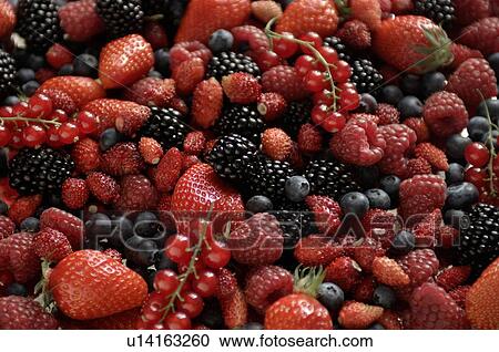 Stock Image - Mixed summer fruits. Fotosearch
