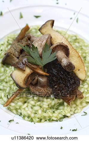 Risotto with wild mushrooms View Large Photo Image Stock Image - Risotto with wild mushrooms. Fotosearch