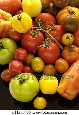 Tomato Varities View Large Photo Image Stock Image - Tomato Varities. Fotosearch