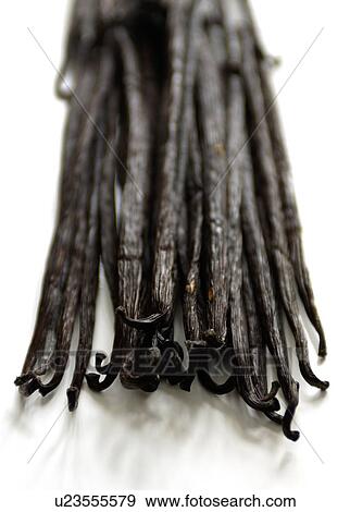 Vanilla Pods View Large Photo Image Stock Photo - Vanilla Pods. Fotosearch