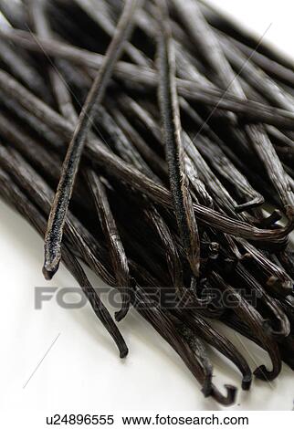 Vanilla Pods View Large Photo Image Stock Photography - Vanilla Pods. Fotosearch