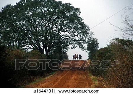 Stock Image - A team of riders approach. Fotosearch